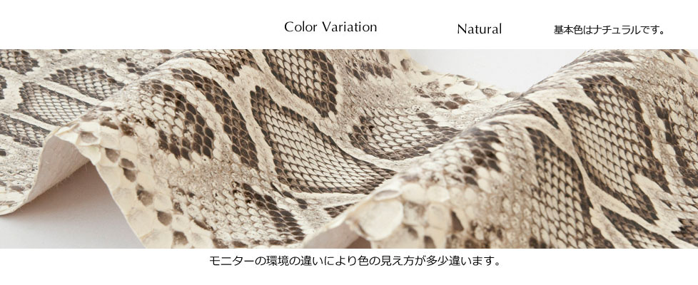 caiman_color